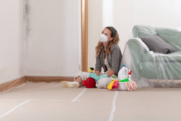 Reliable Black Mold Remediation contractor in Chester, MD by Mold Remediation HQ